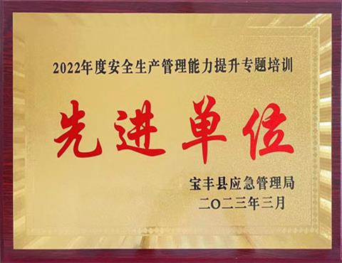 安全生產(chǎn)管理能力提升專題培訓先進單位                                